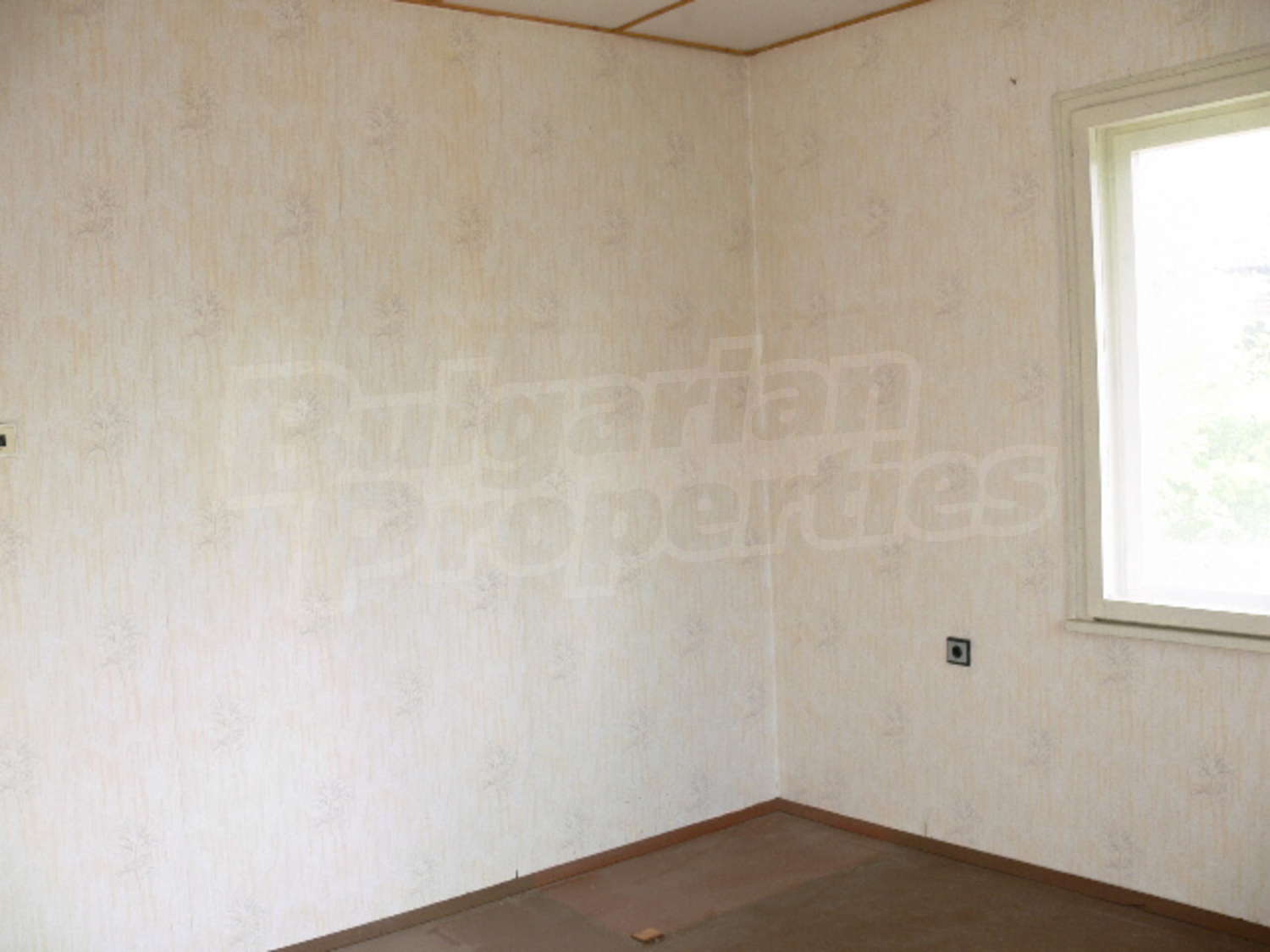 Gallery Picture 27