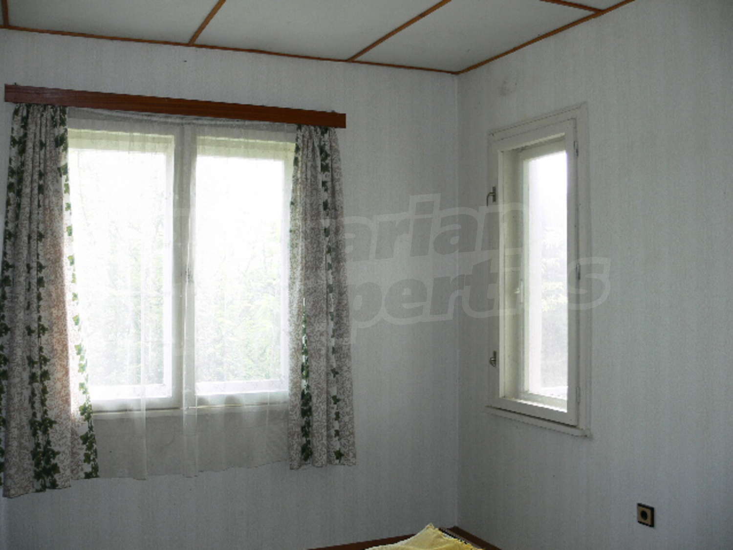 Gallery Picture 28