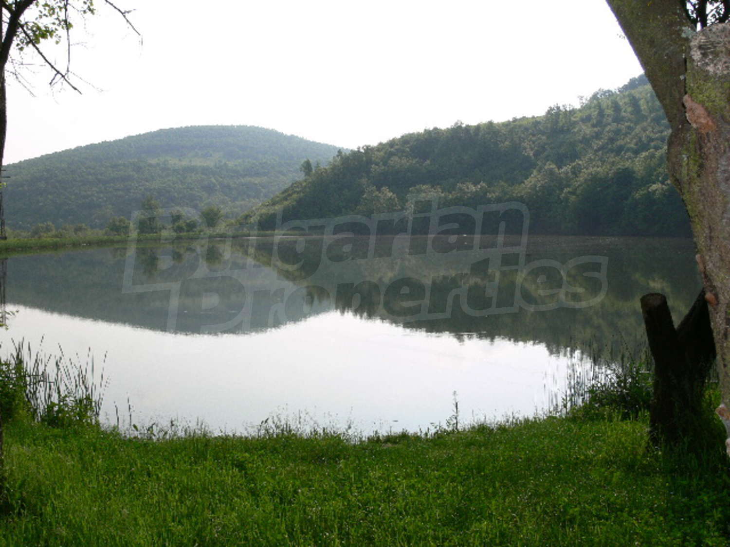 Gallery Picture 34