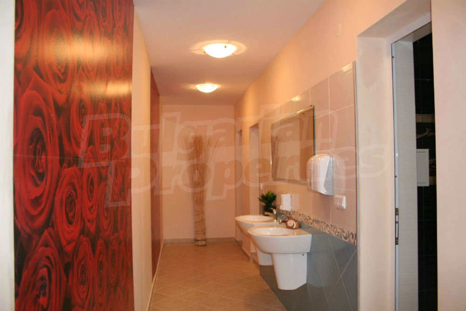 Gallery Picture 19