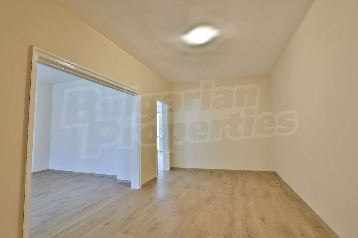 Gallery Picture 7