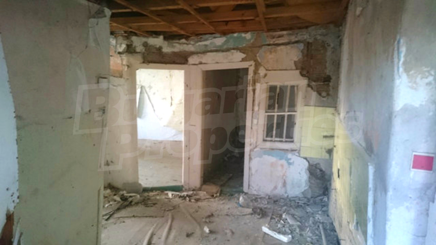 Gallery Picture 11