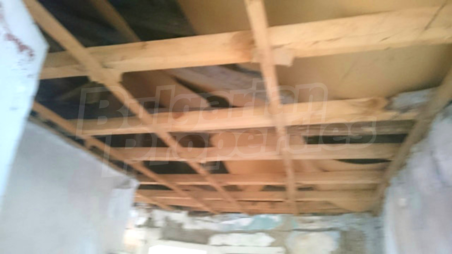Gallery Picture 12