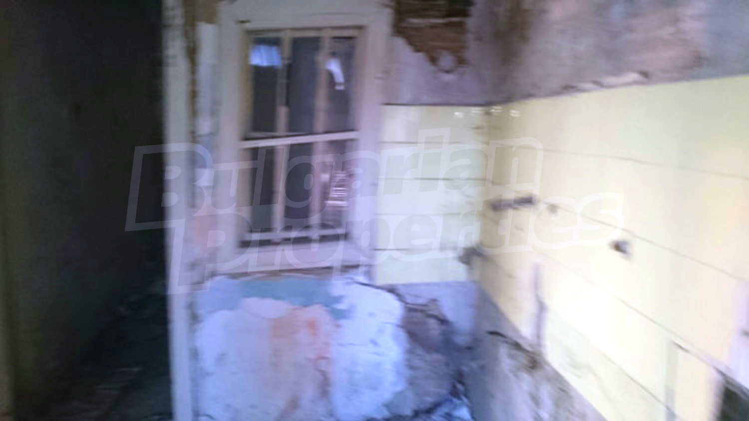 Gallery Picture 15