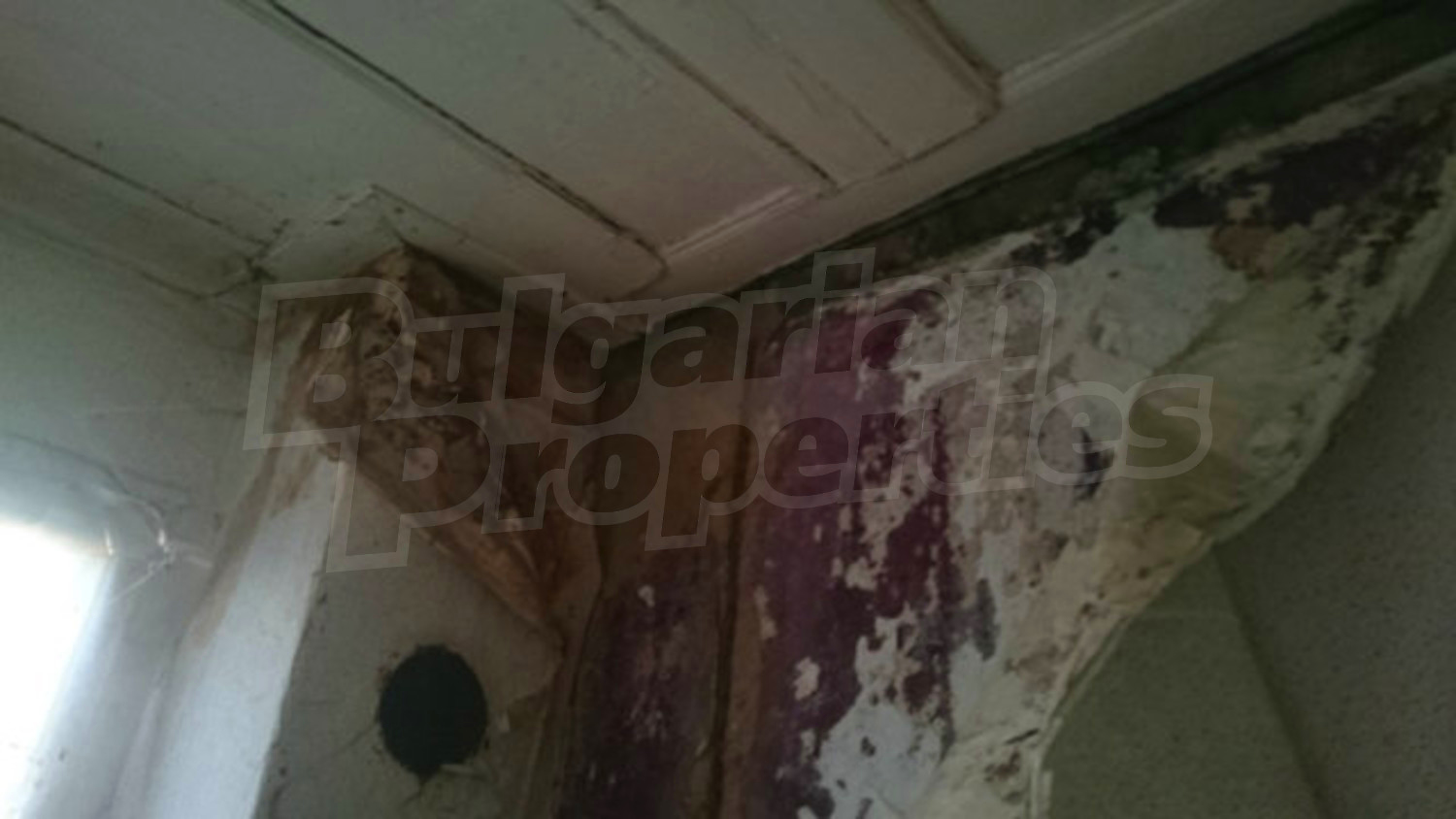 Gallery Picture 16