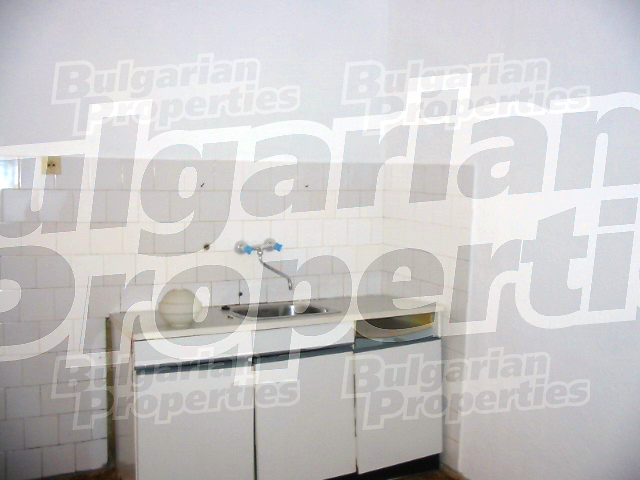 Gallery Picture 11