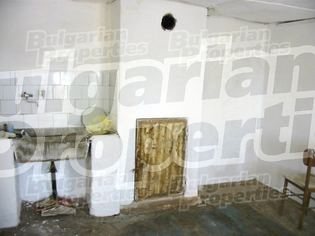 Gallery Picture 12