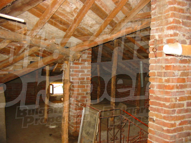 Gallery Picture 14