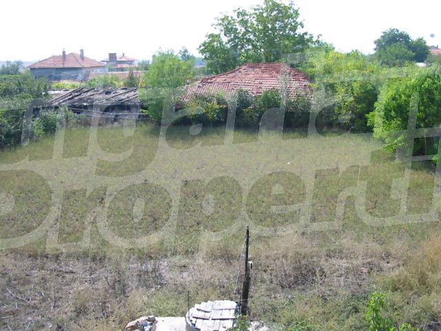 Gallery Picture 16