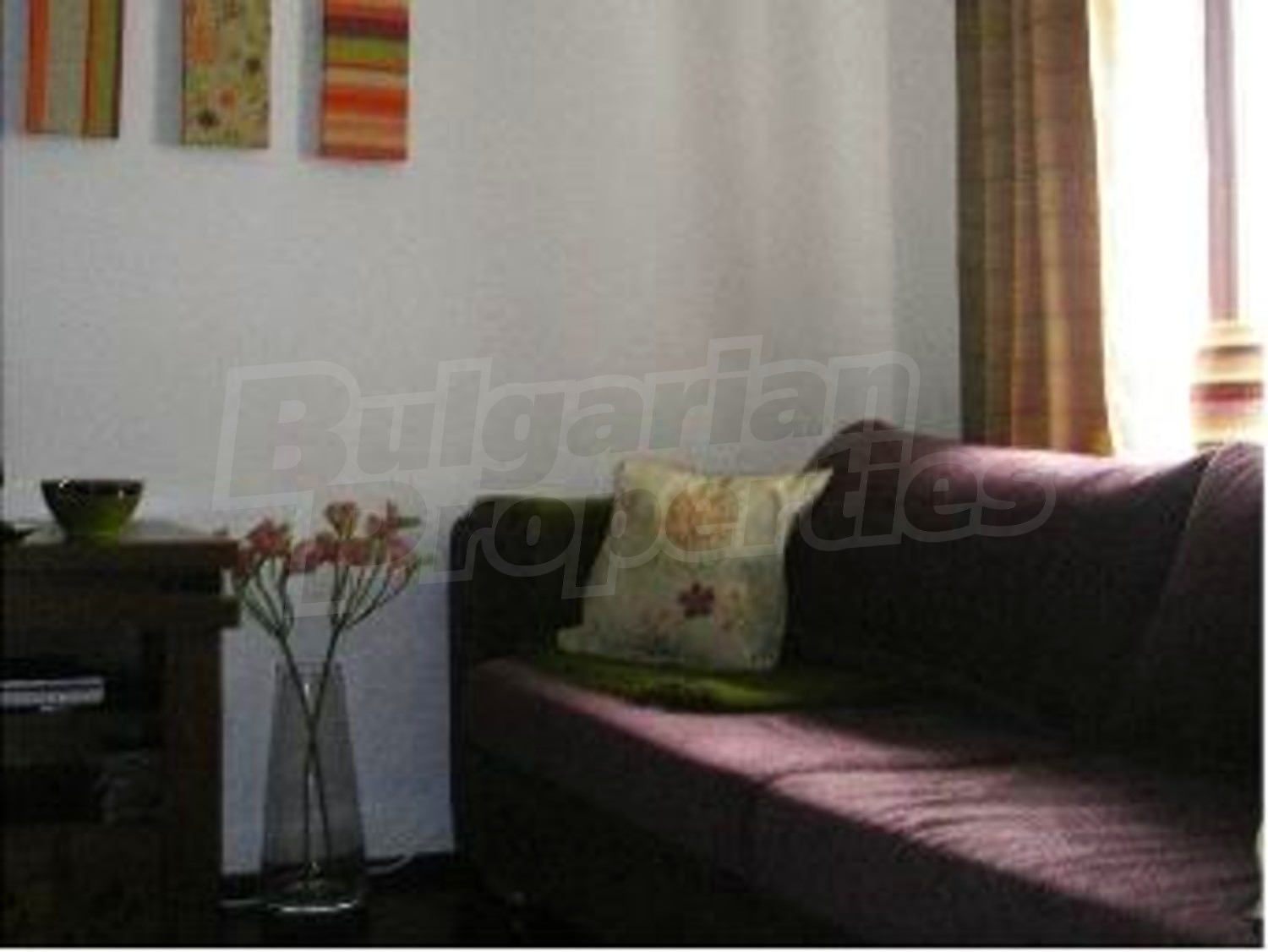 Gallery Picture 12
