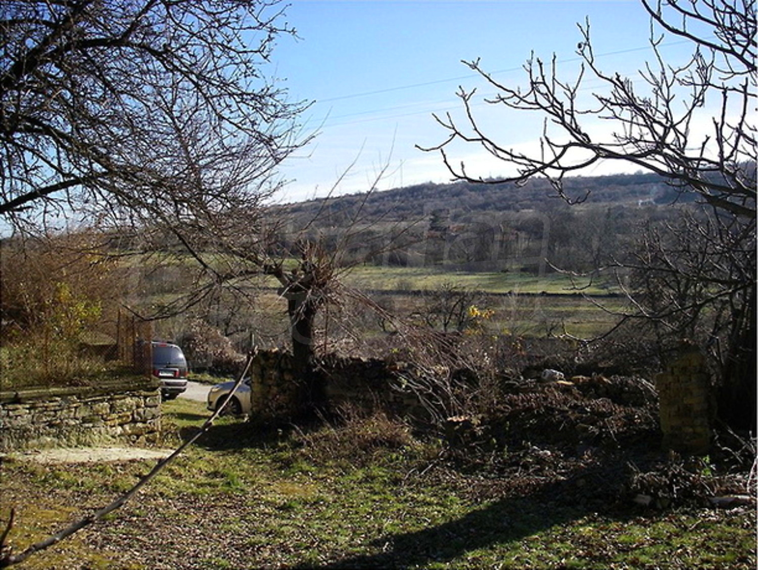 Gallery Picture 13