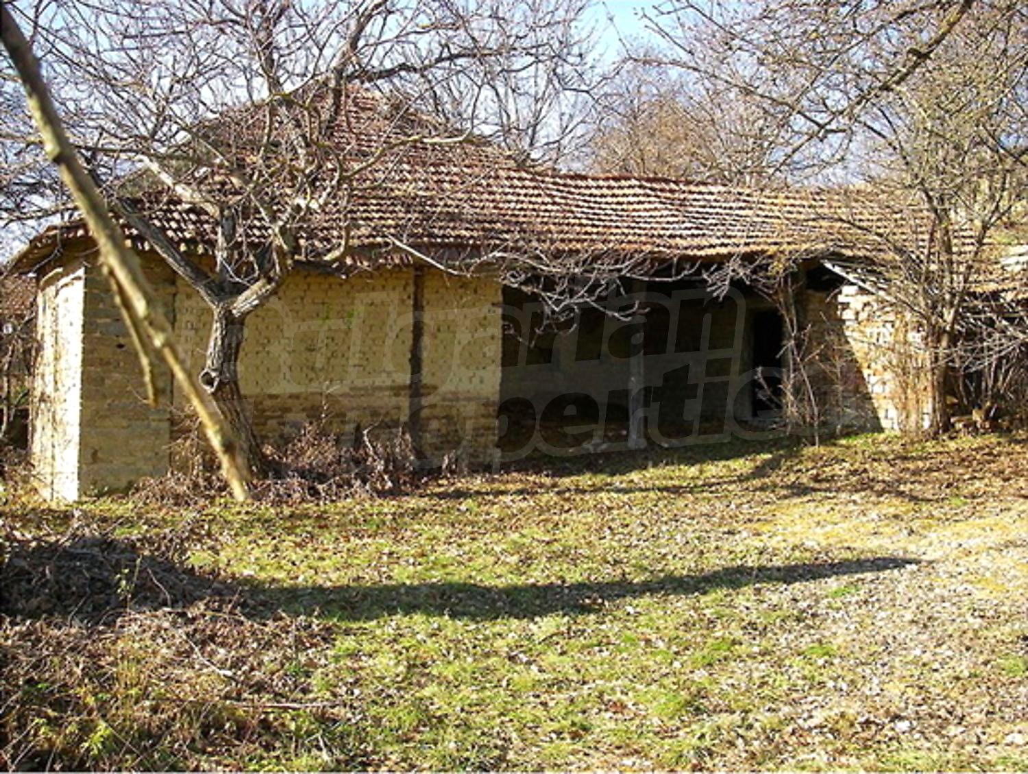Gallery Picture 14