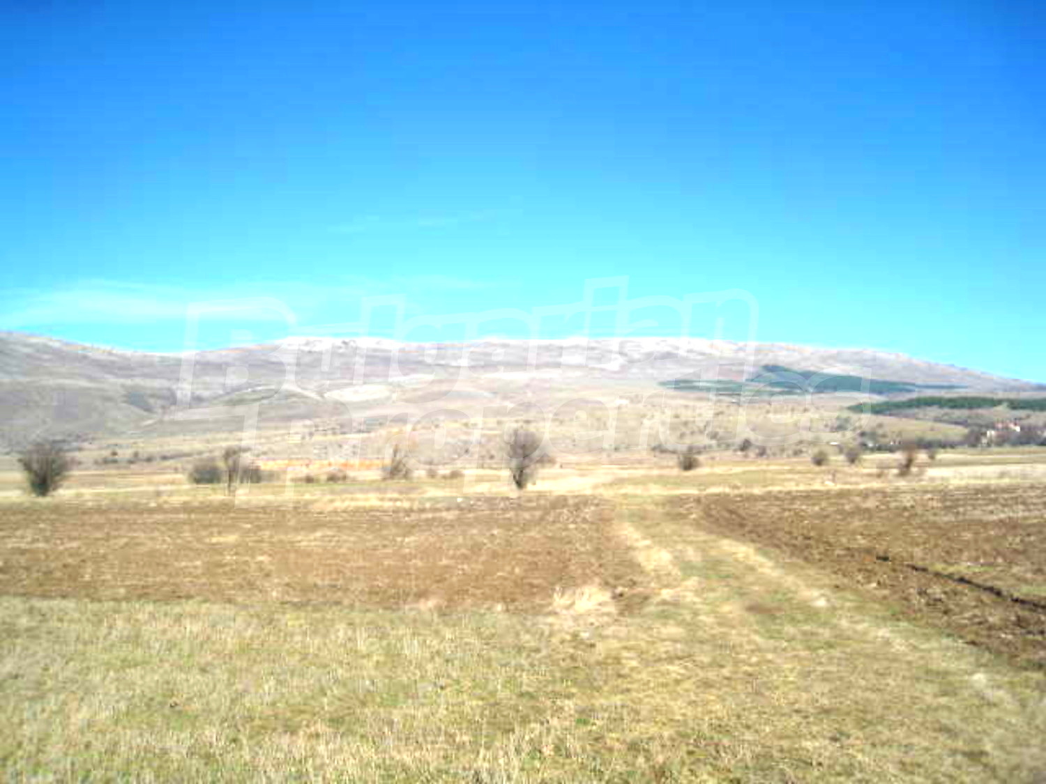 Gallery Picture 11