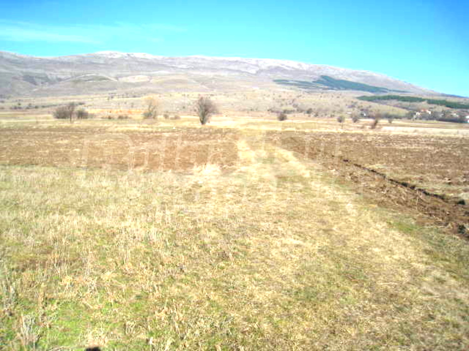 Gallery Picture 8