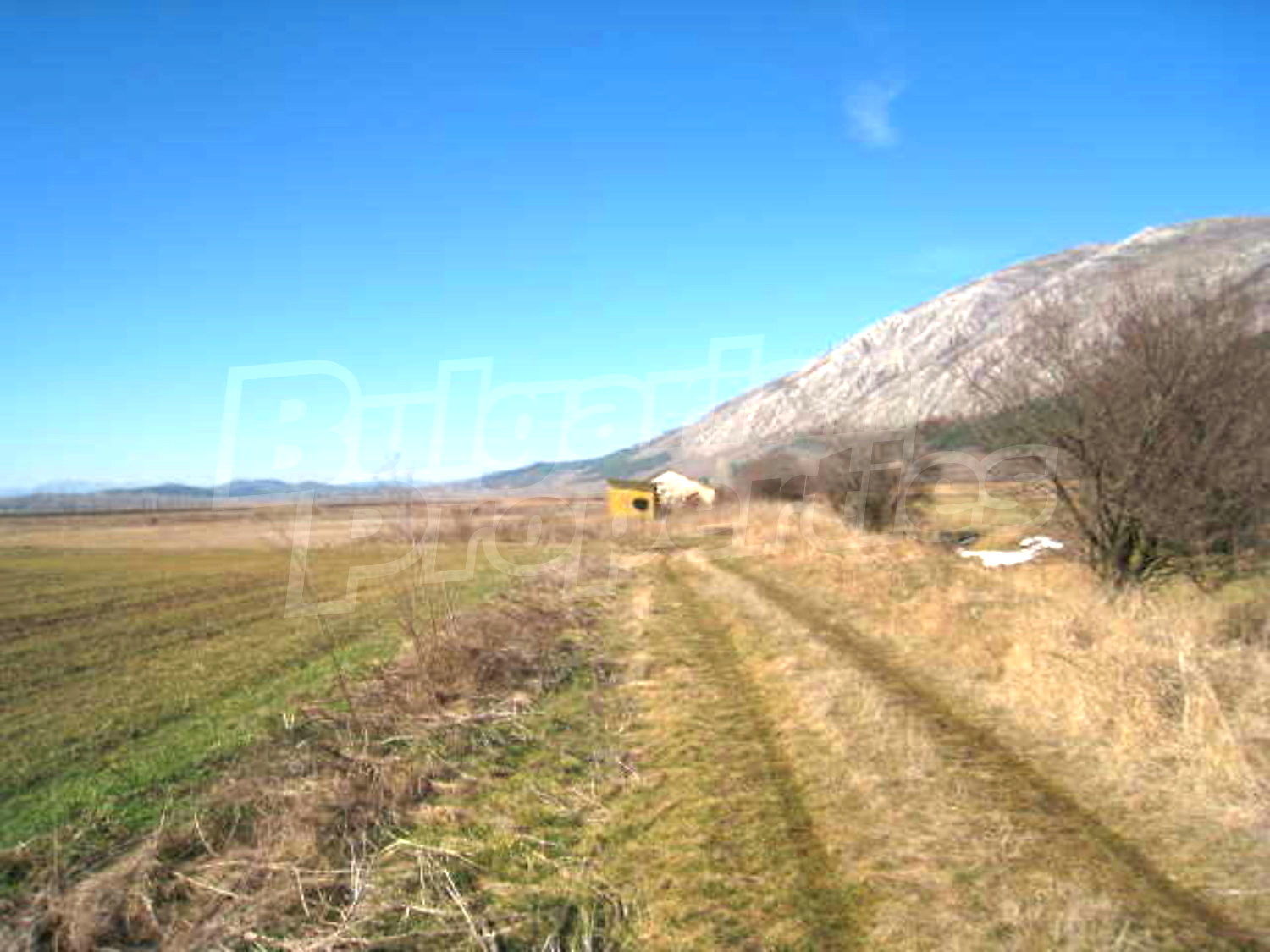 Gallery Picture 12