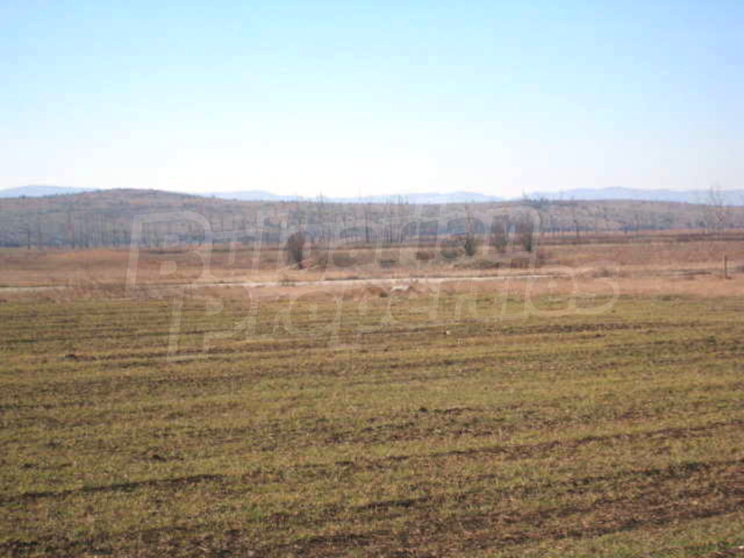 Gallery Picture 11