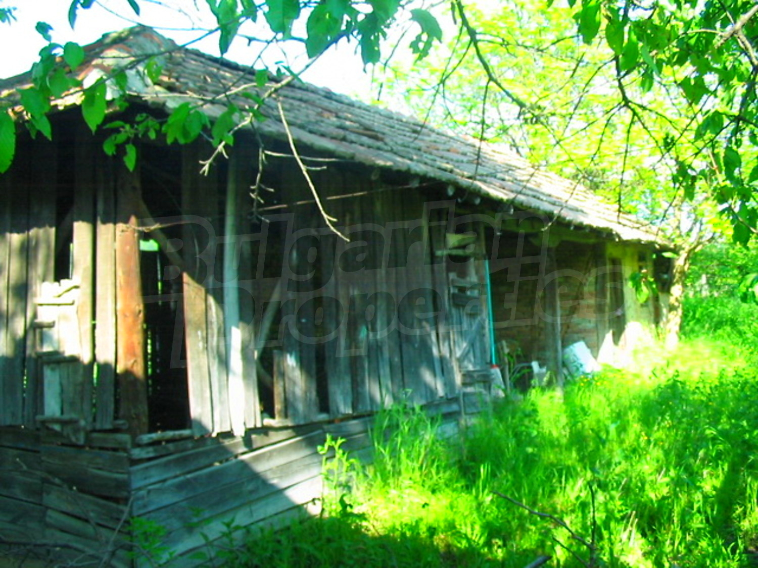 Gallery Picture 15