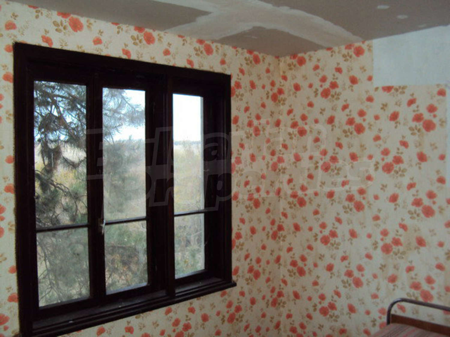 Gallery Picture 11