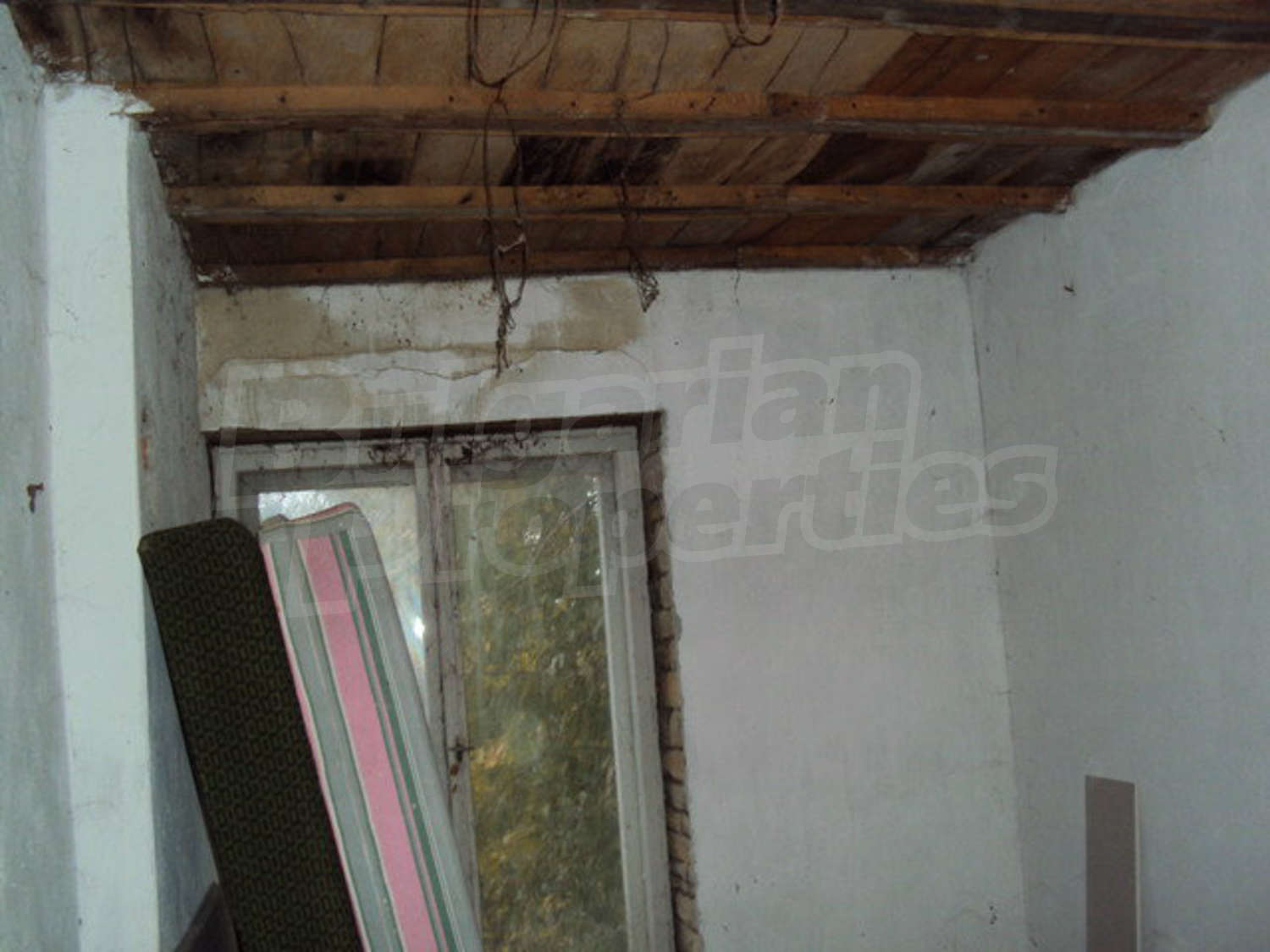 Gallery Picture 12