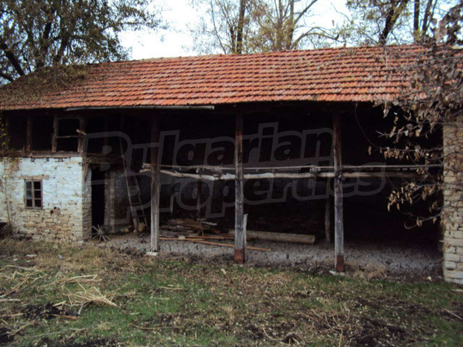 Gallery Picture 15