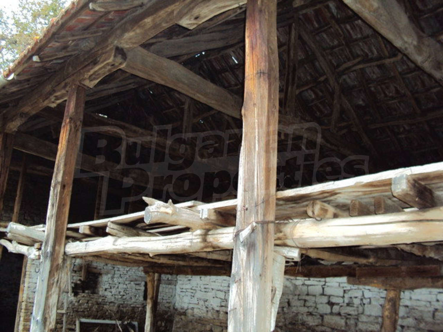 Gallery Picture 16