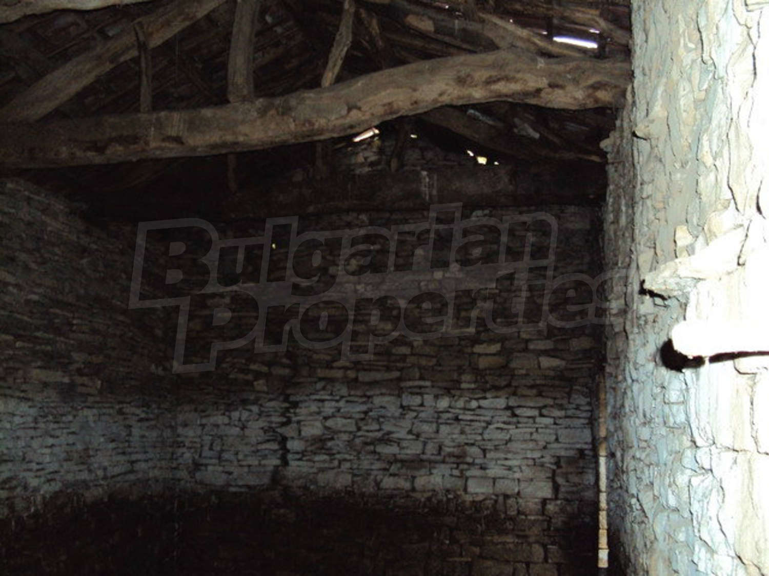 Gallery Picture 17