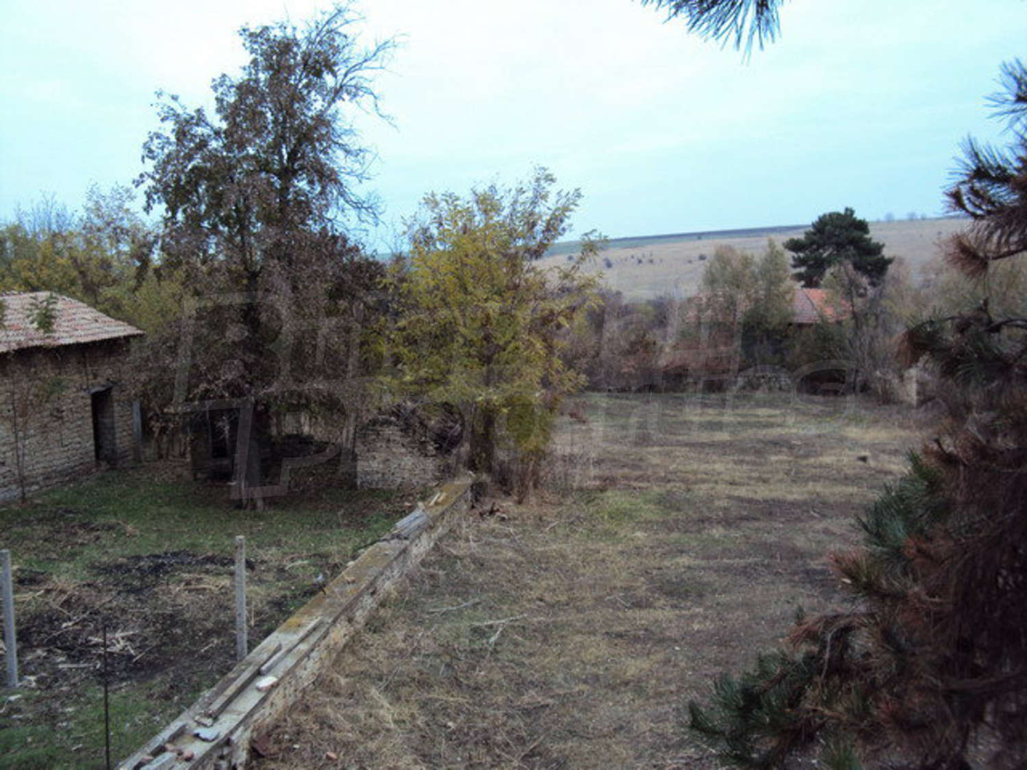Gallery Picture 18