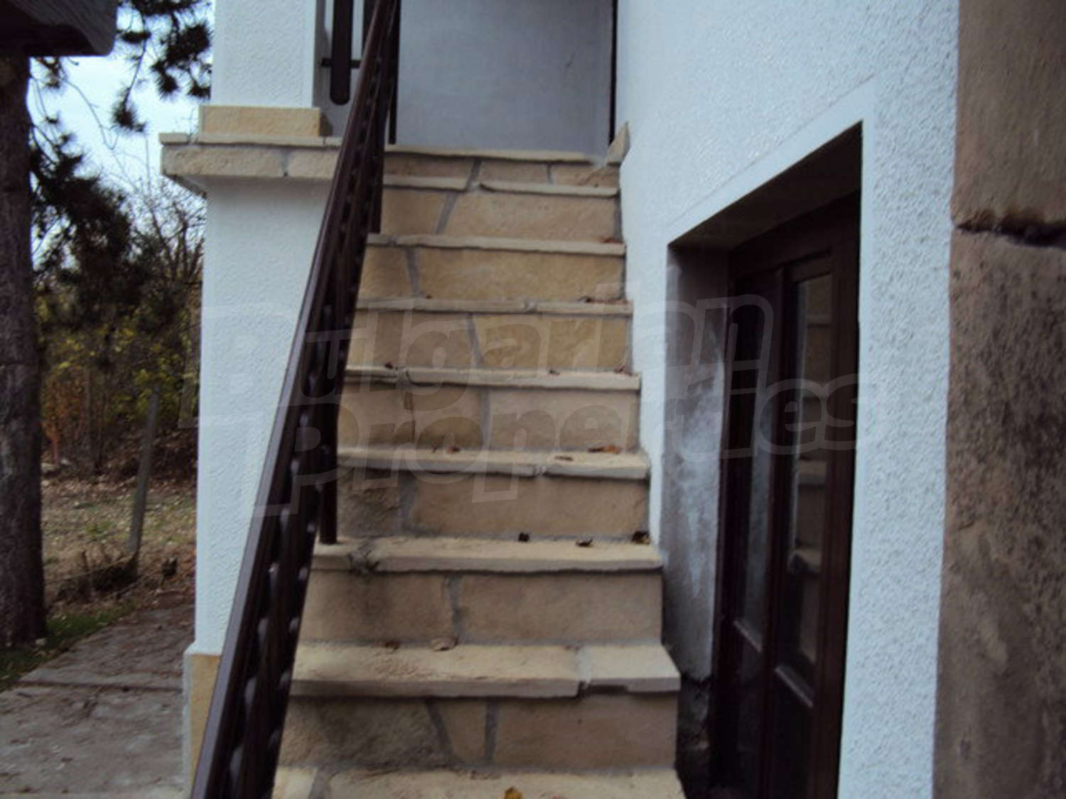 Gallery Picture 19