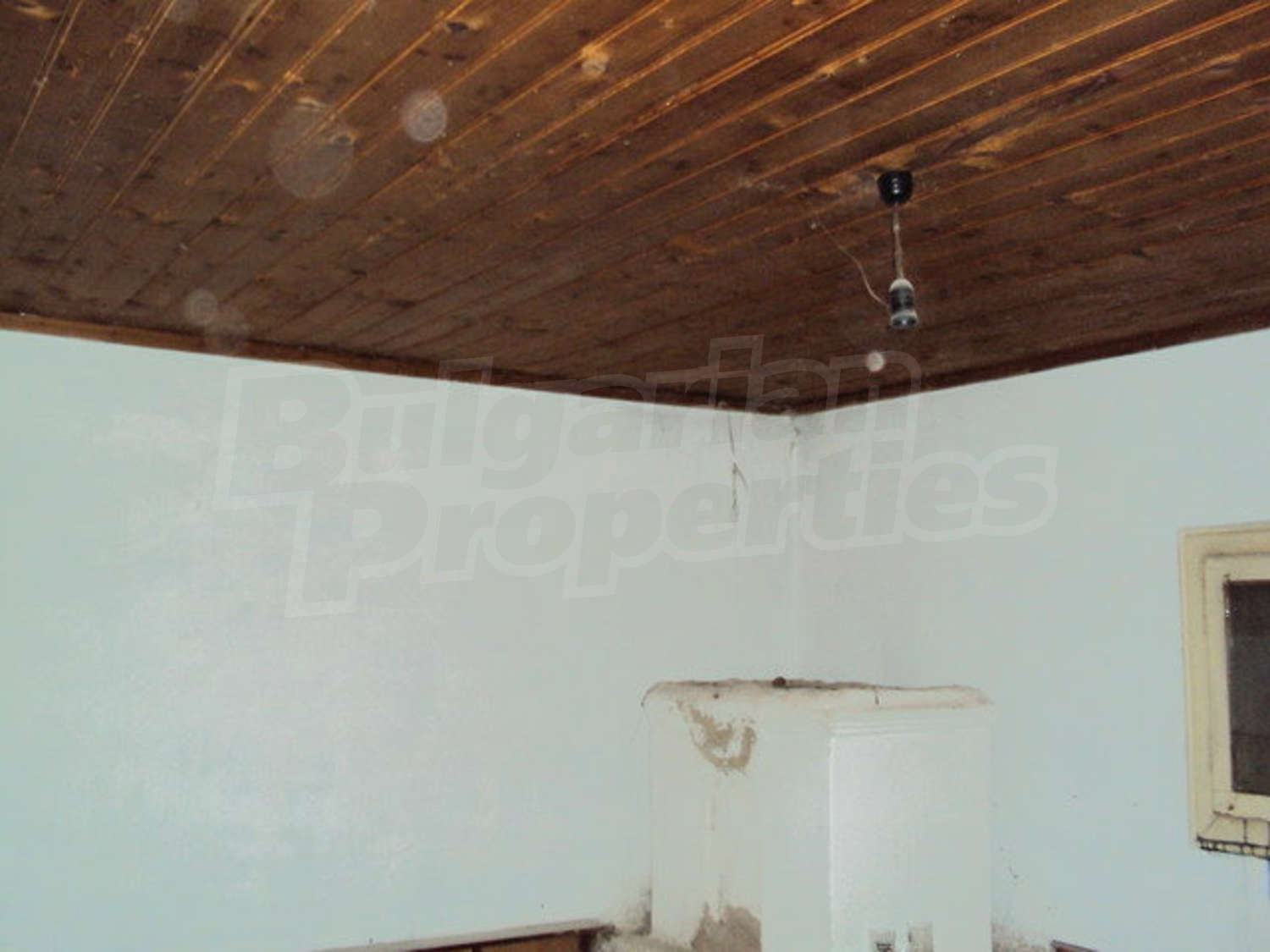 Gallery Picture 7