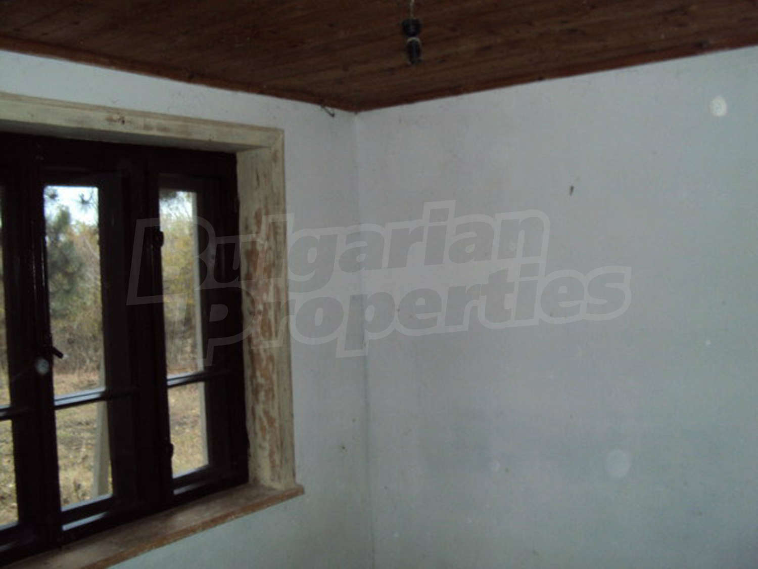 Gallery Picture 9