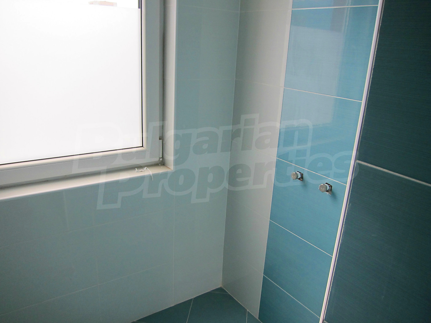 Gallery Picture 34