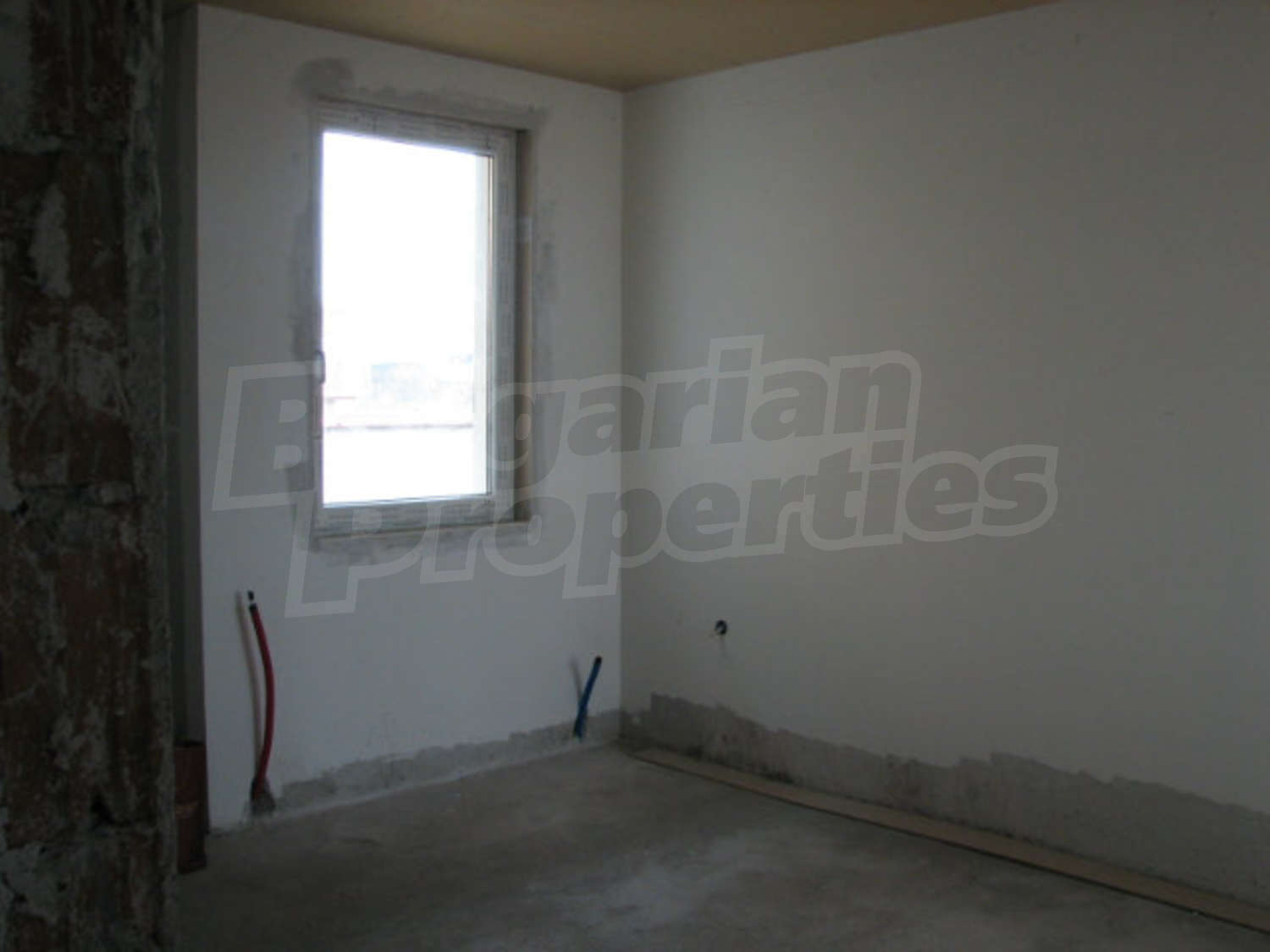 Gallery Picture 17