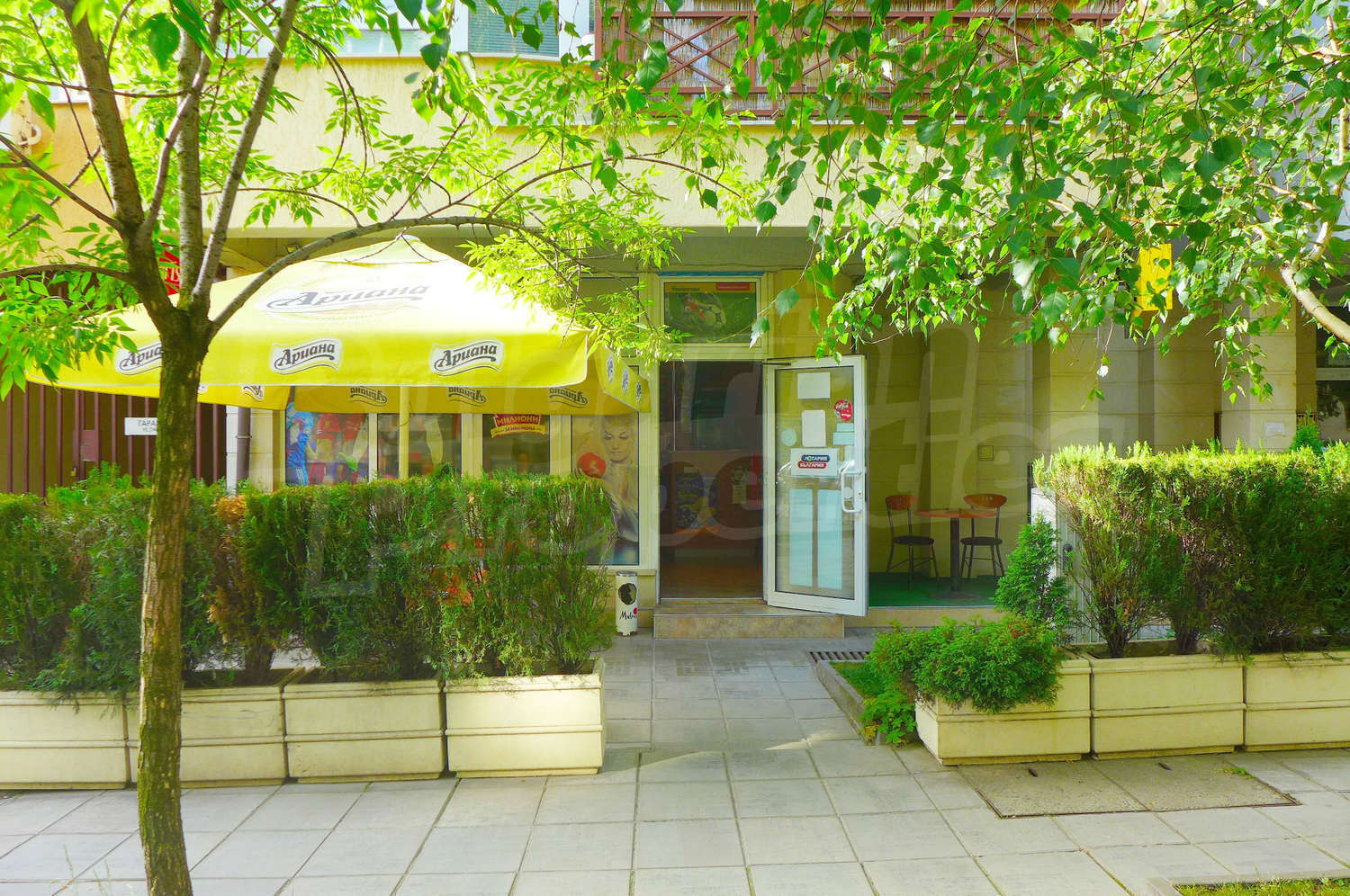 Gallery Picture 17