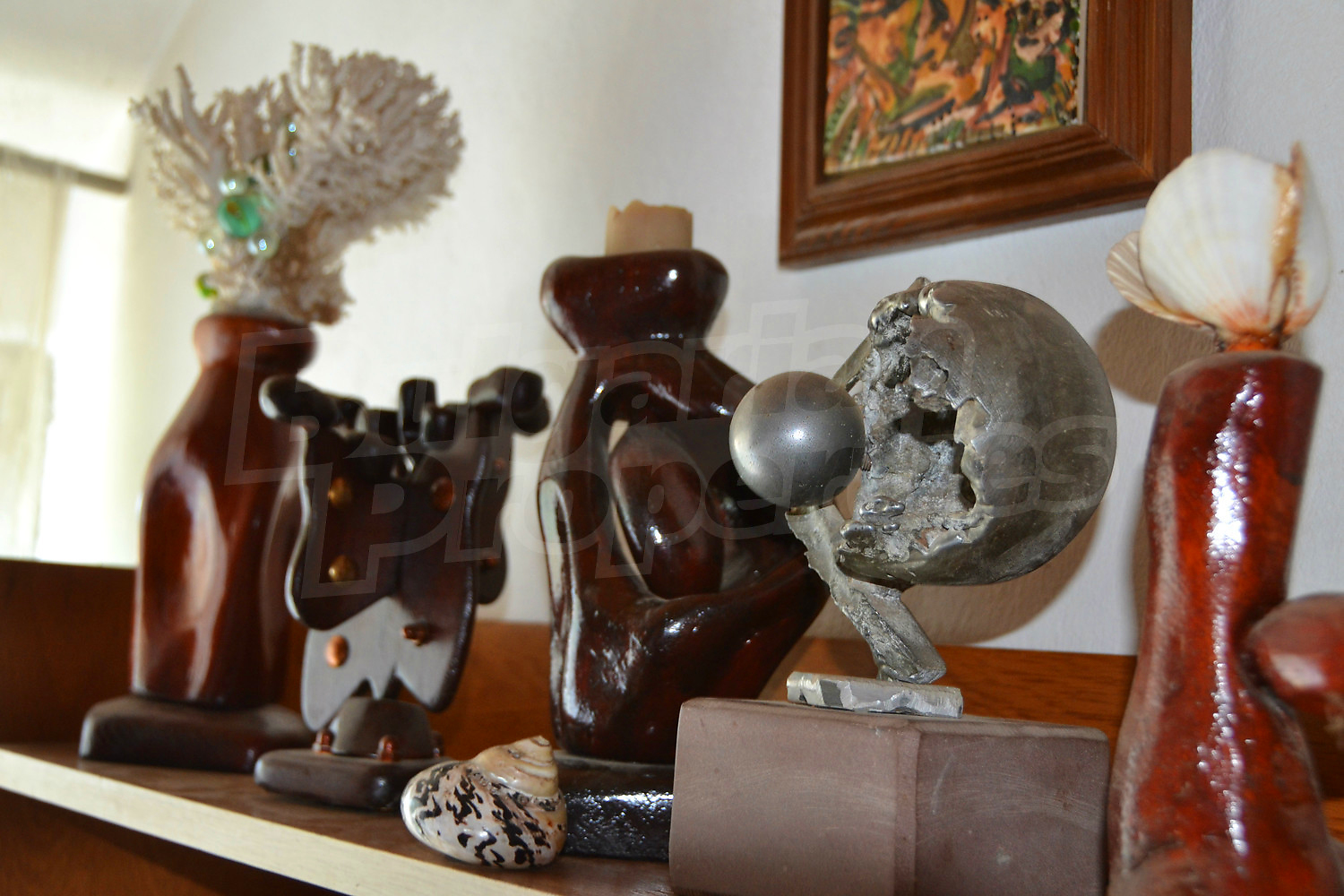 Gallery Picture 55