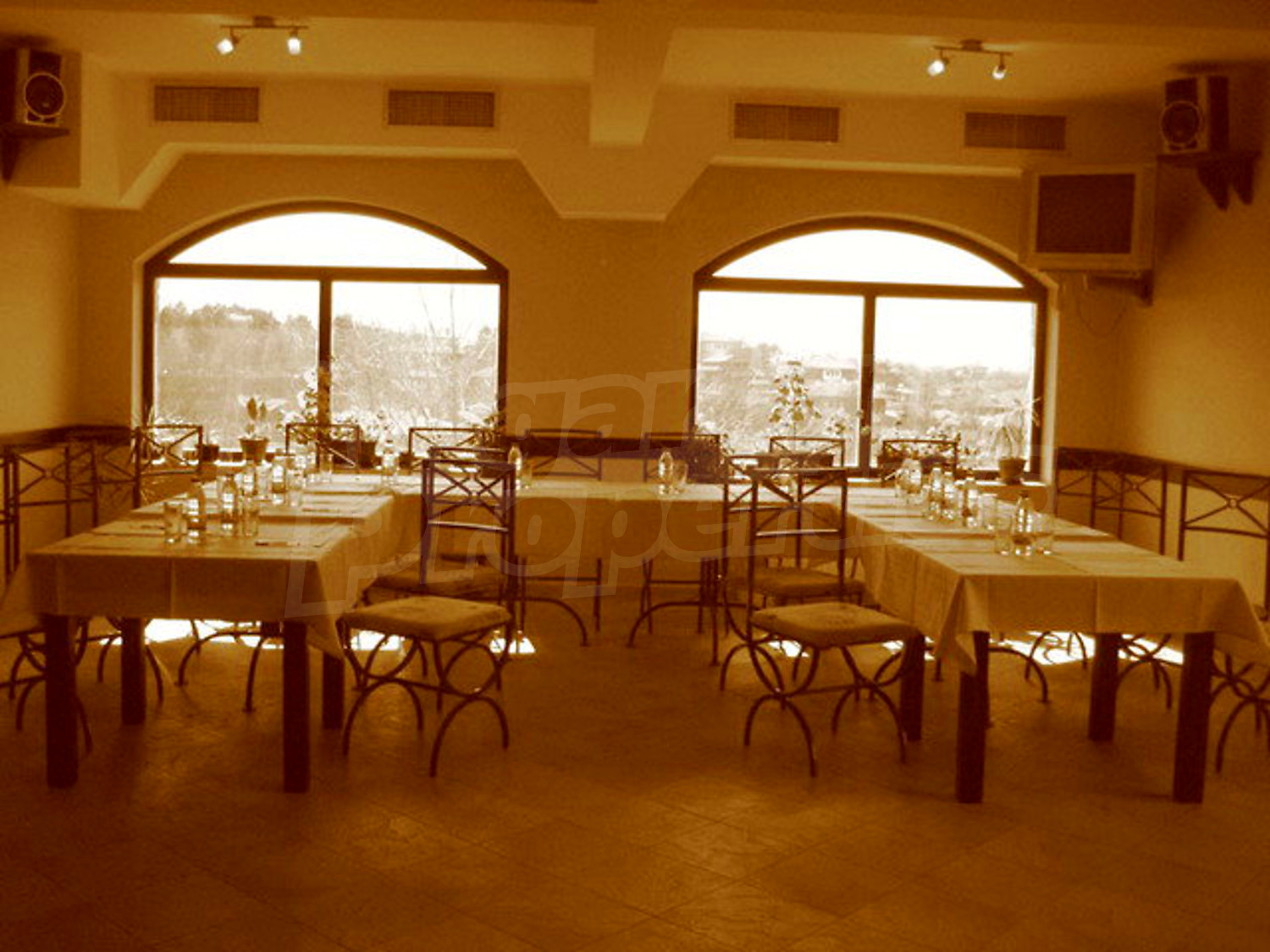 Gallery Picture 19