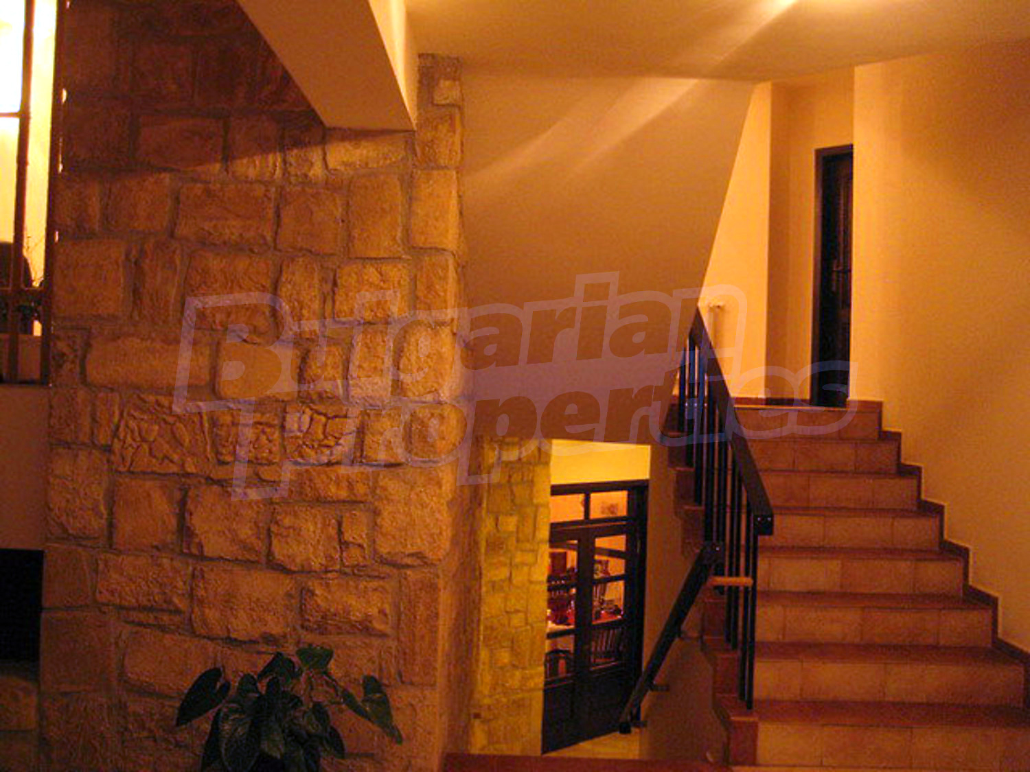 Gallery Picture 21