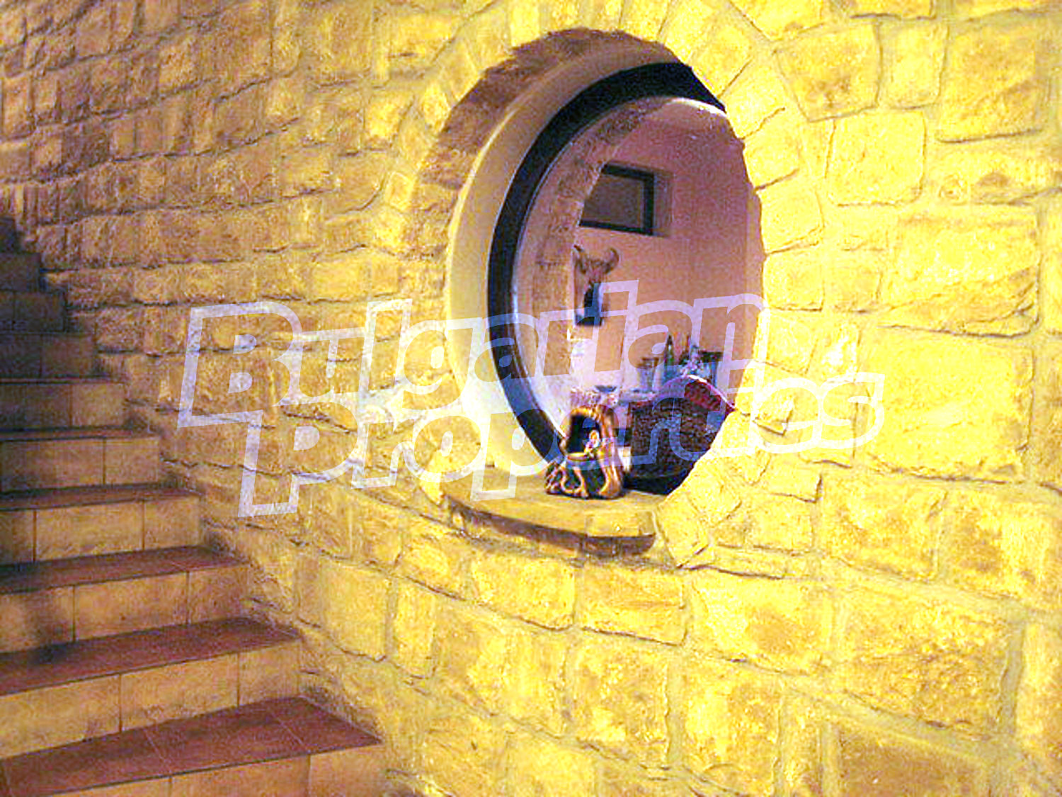 Gallery Picture 22