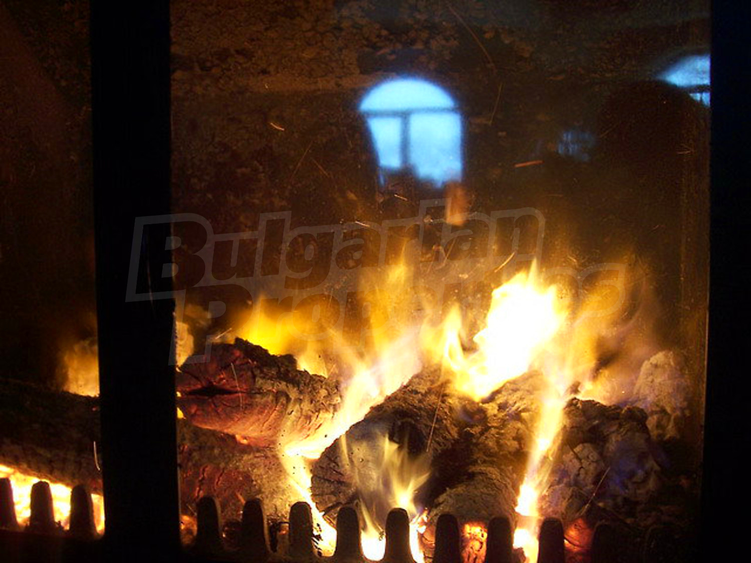 Gallery Picture 28