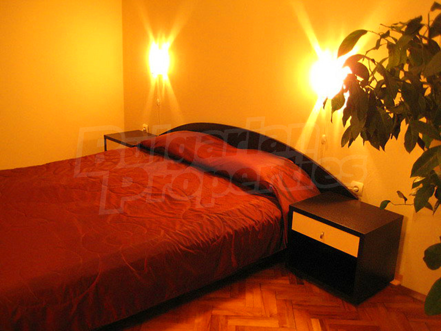 Gallery Picture 41
