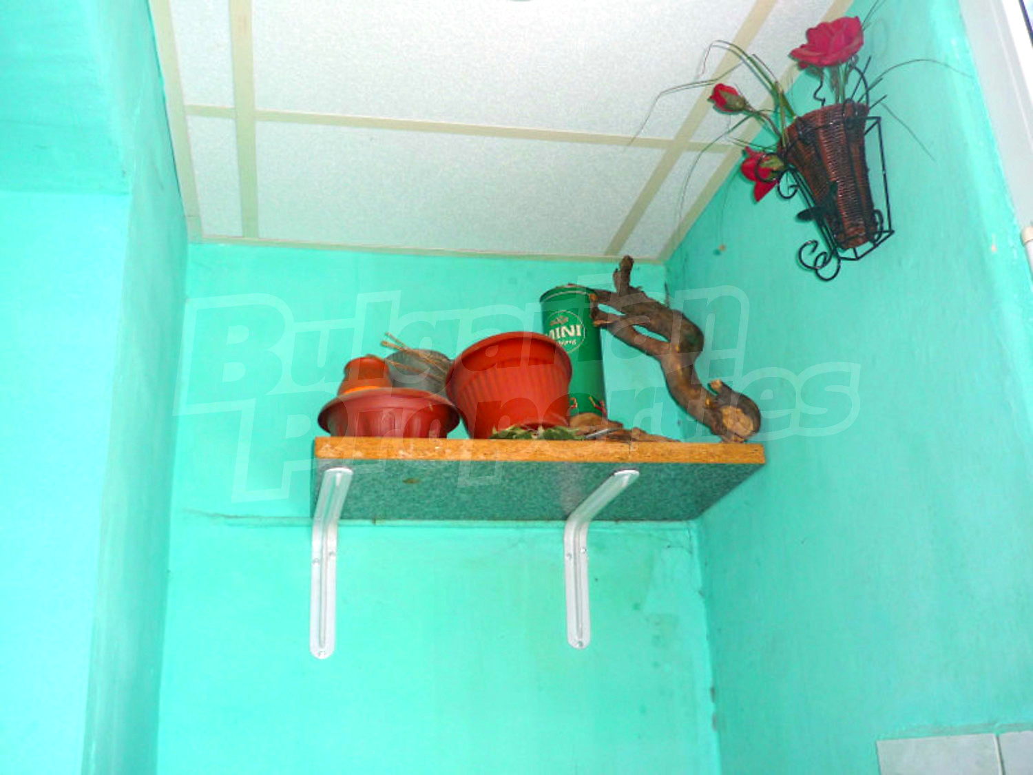Gallery Picture 4