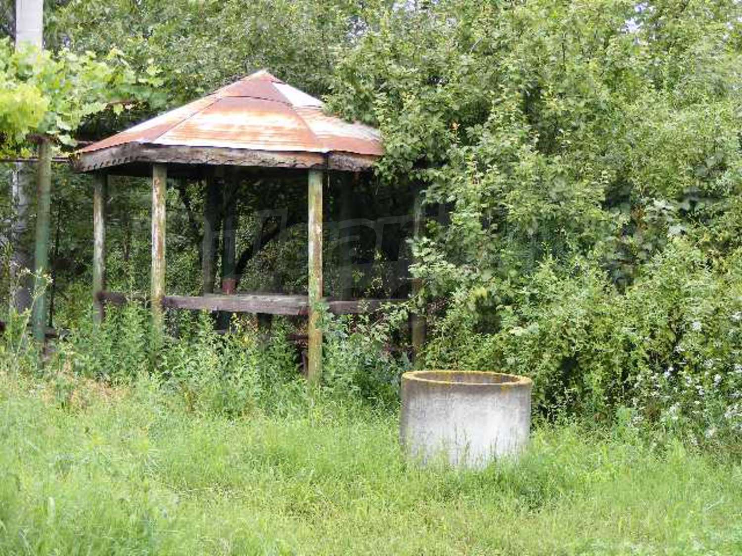 Gallery Picture 25