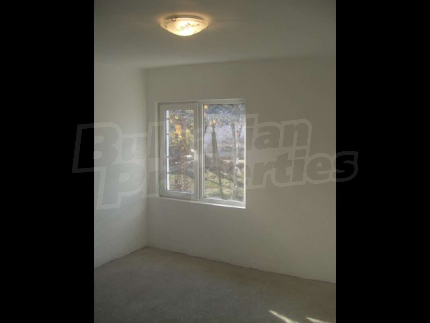 Gallery Picture 9
