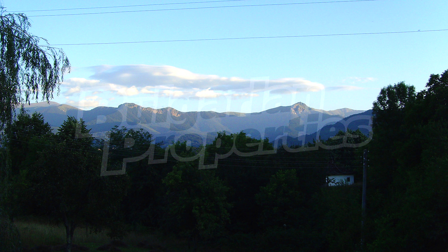 Gallery Picture 11