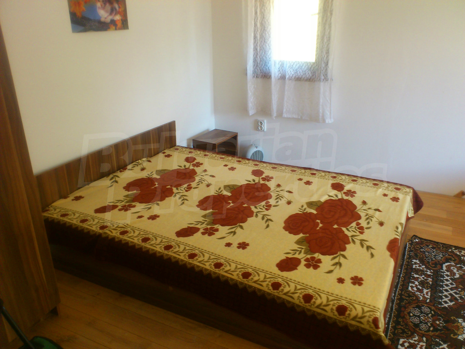 Gallery Picture 28