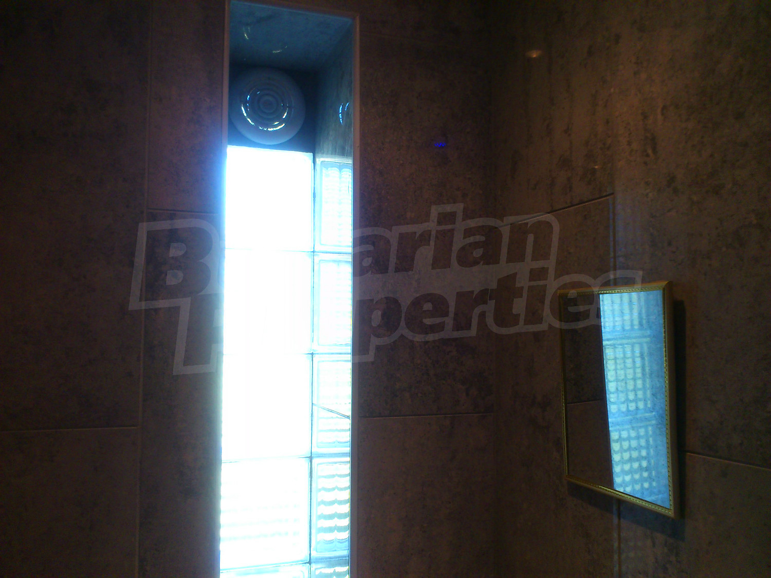 Gallery Picture 34