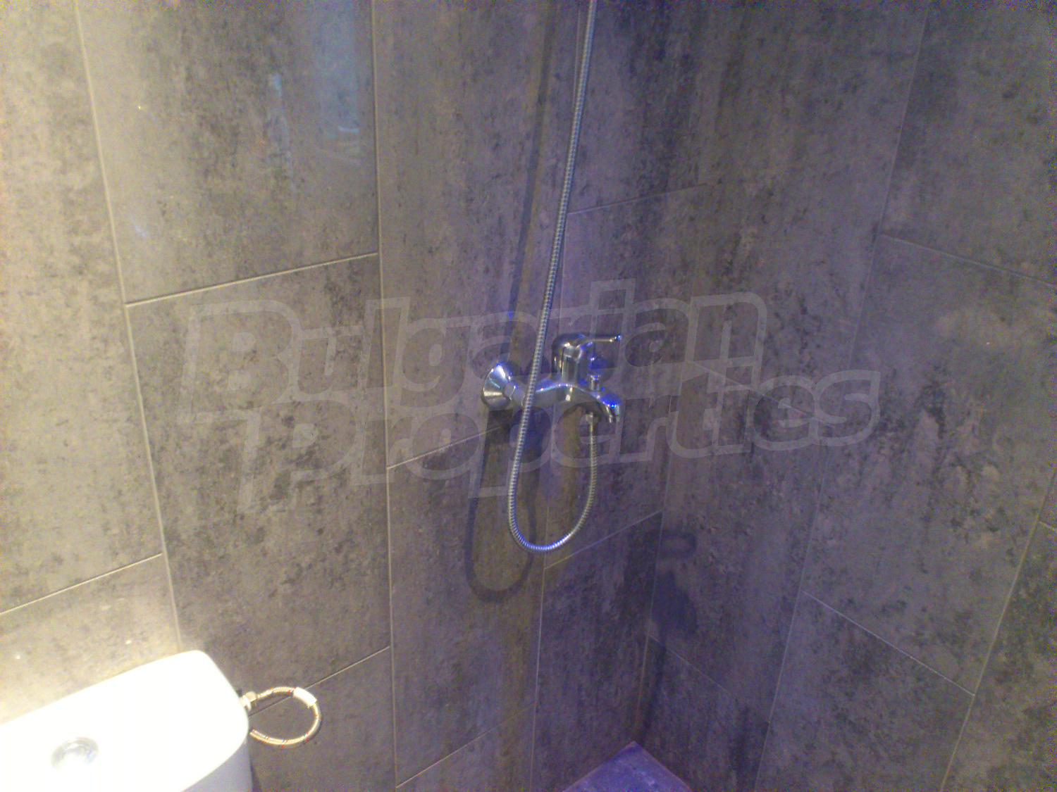 Gallery Picture 39