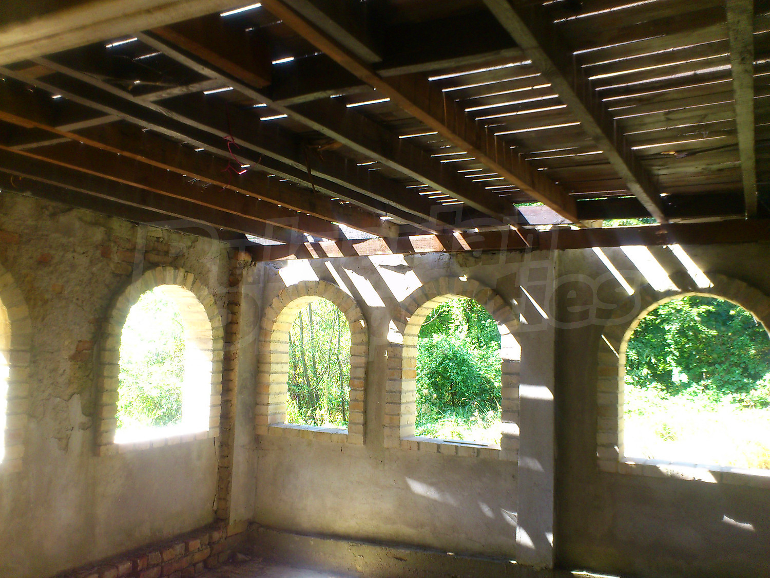 Gallery Picture 49