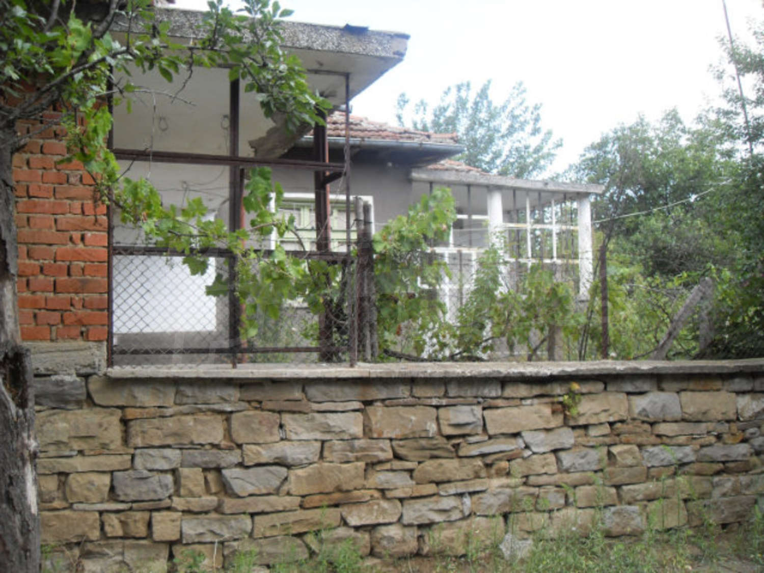 Gallery Picture 11