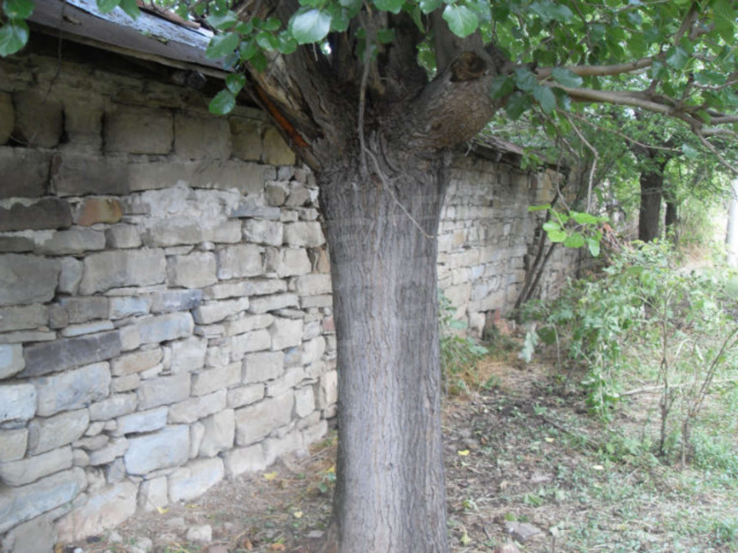 Gallery Picture 12