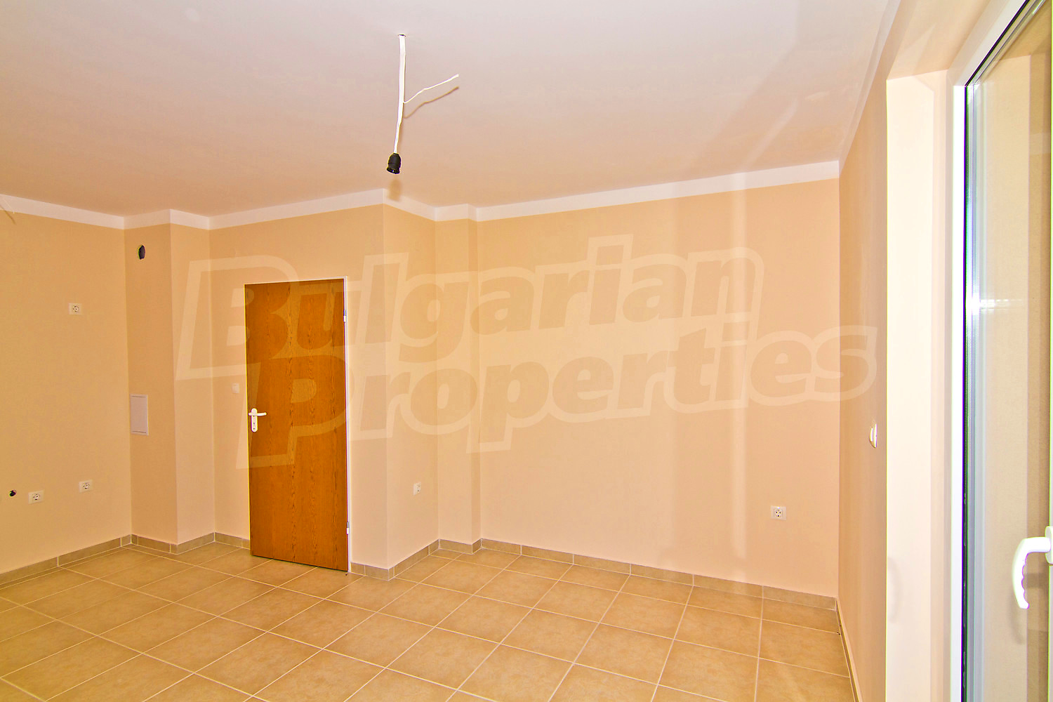 Gallery Picture 13